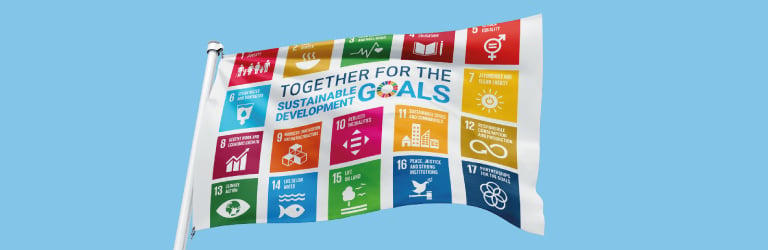 SDG Flag Article image - all 14 formats